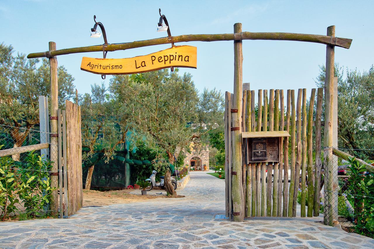 Agriturismo La Peppina Massa Lubrense Esterno foto