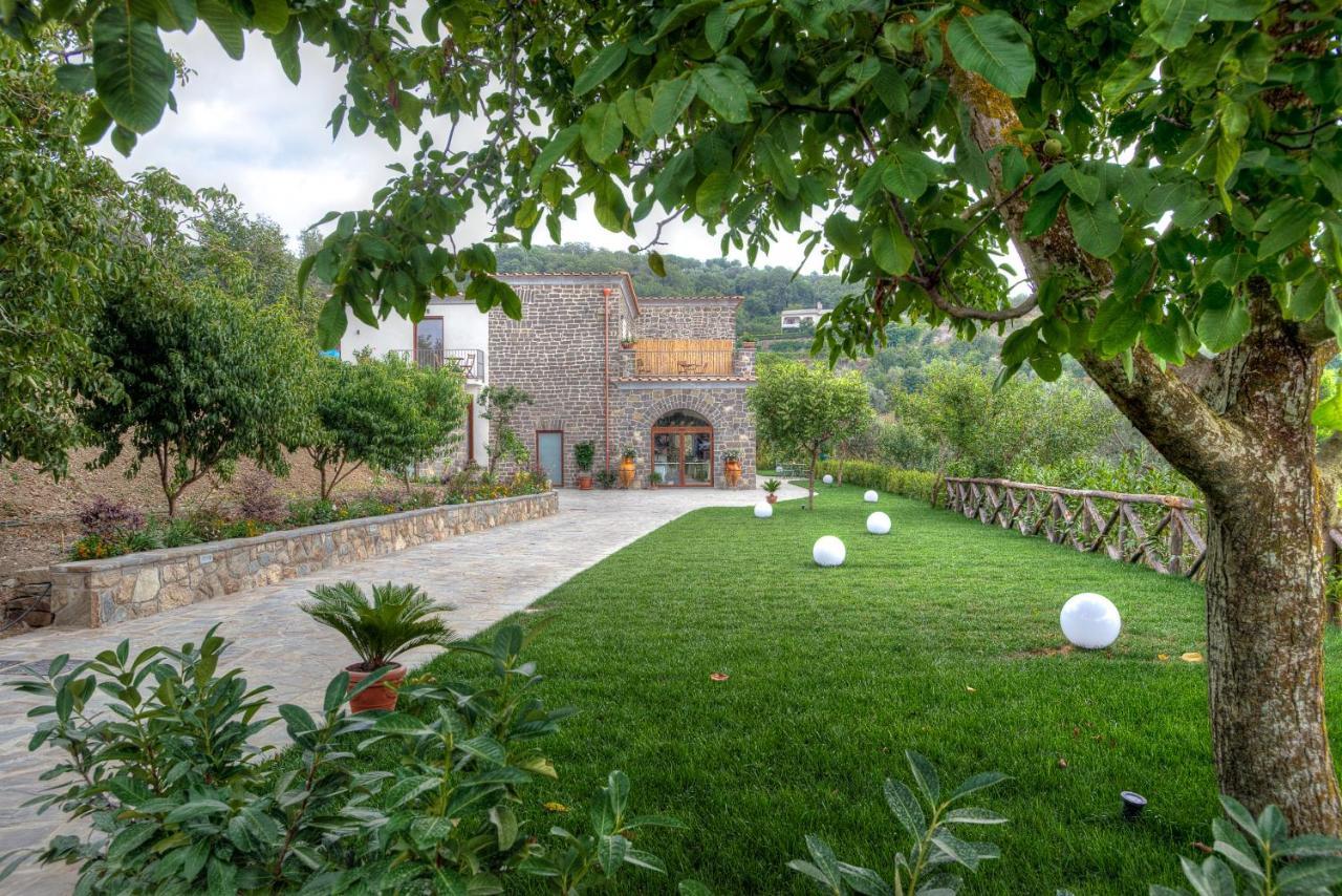 Agriturismo La Peppina Massa Lubrense Esterno foto